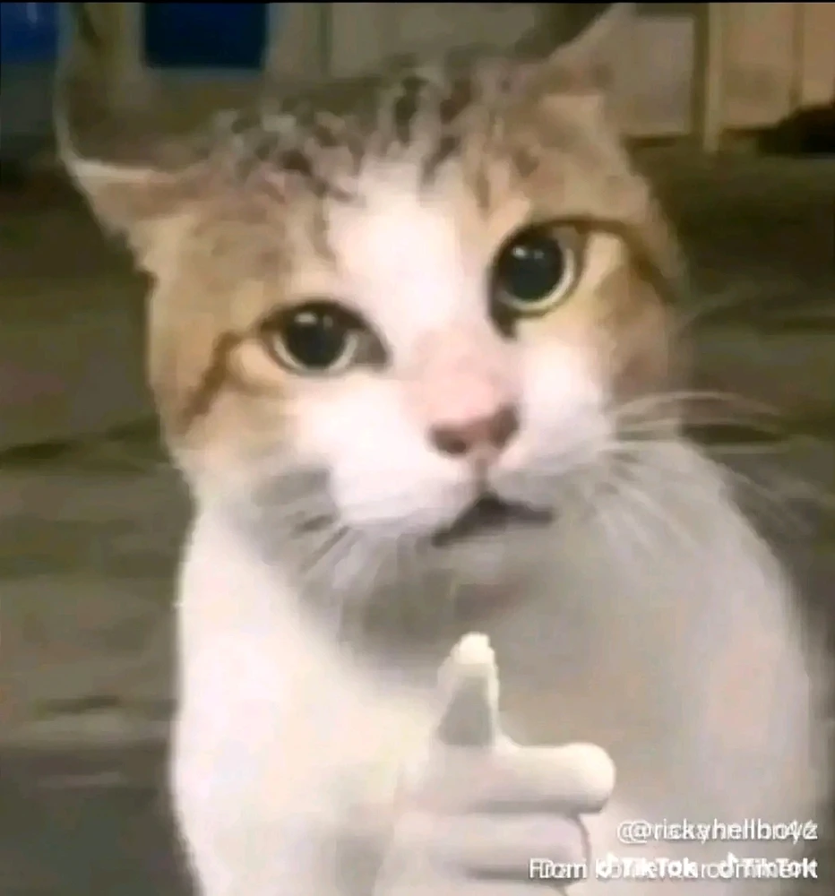 GIF eropgeluede vum Nita