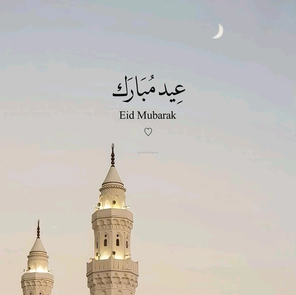 GIF napetrak'i Youssef