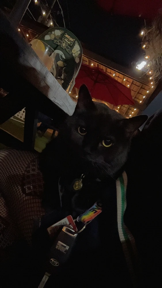 GIF yashyizweho na Nikki