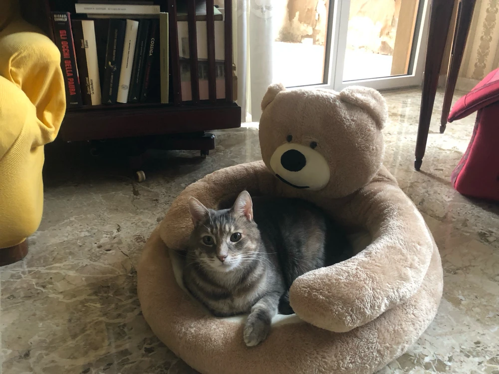 Immagine caricata da Roberto