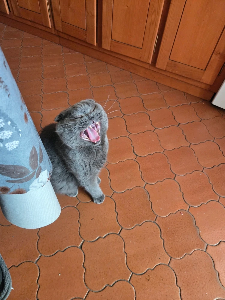 GIF uploaded by Lucas