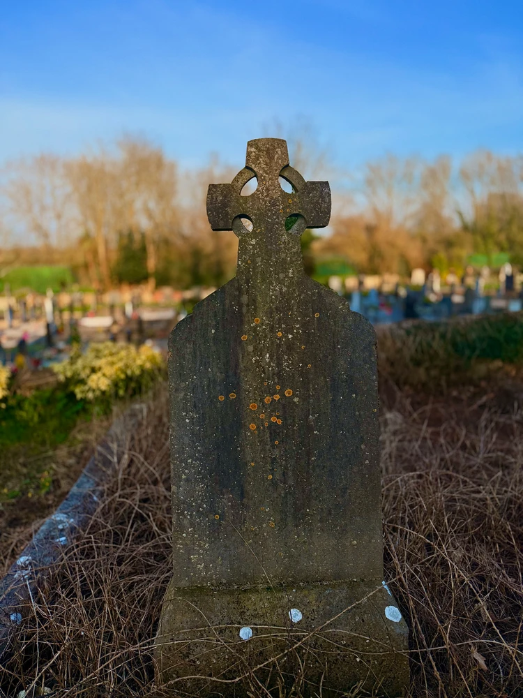 Image uploaded by Murt