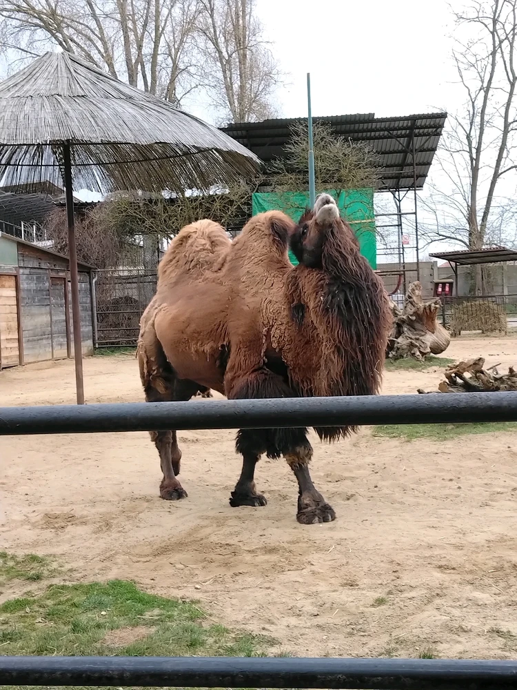 Obrázek nahrál Svatava