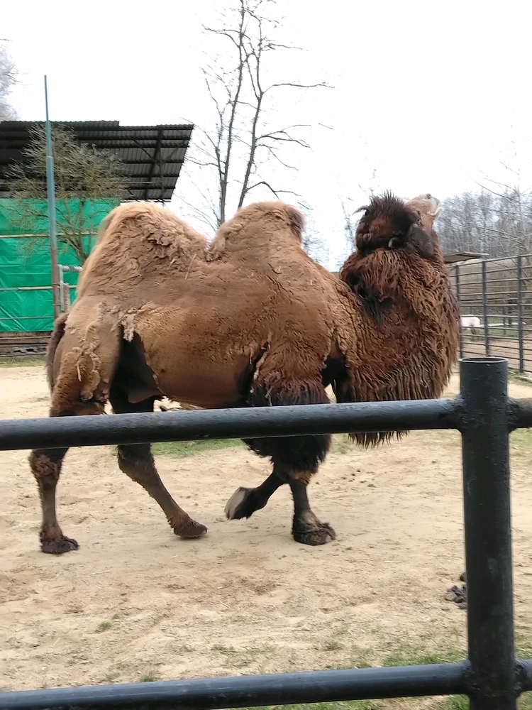 Obrázek nahrál Svatava
