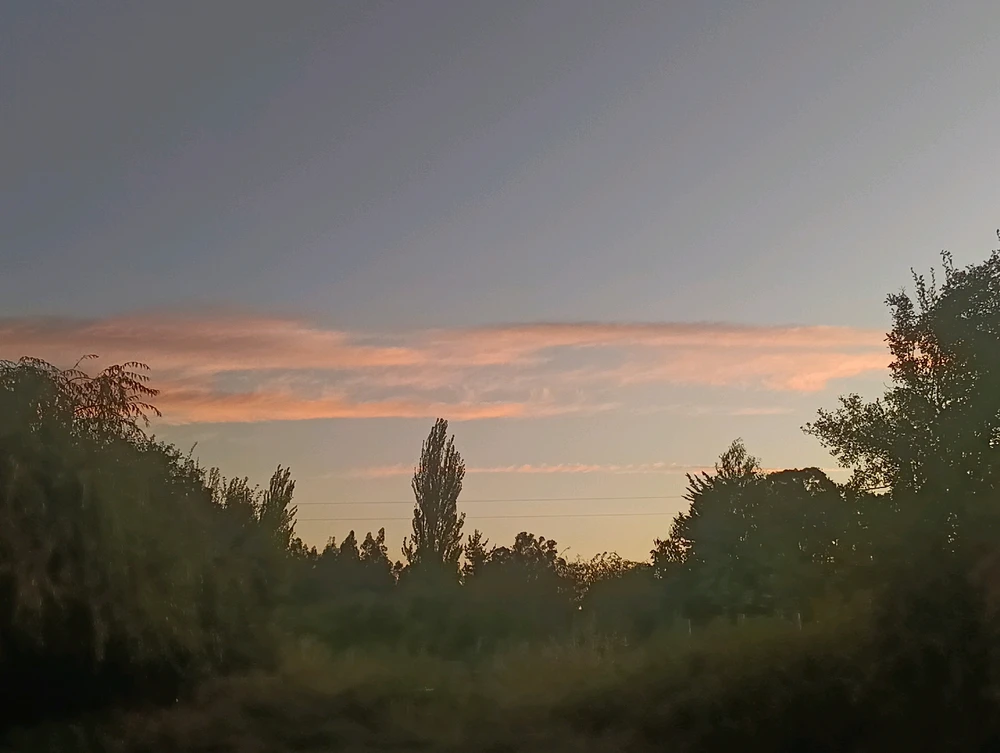 Imagen subida por Almendra