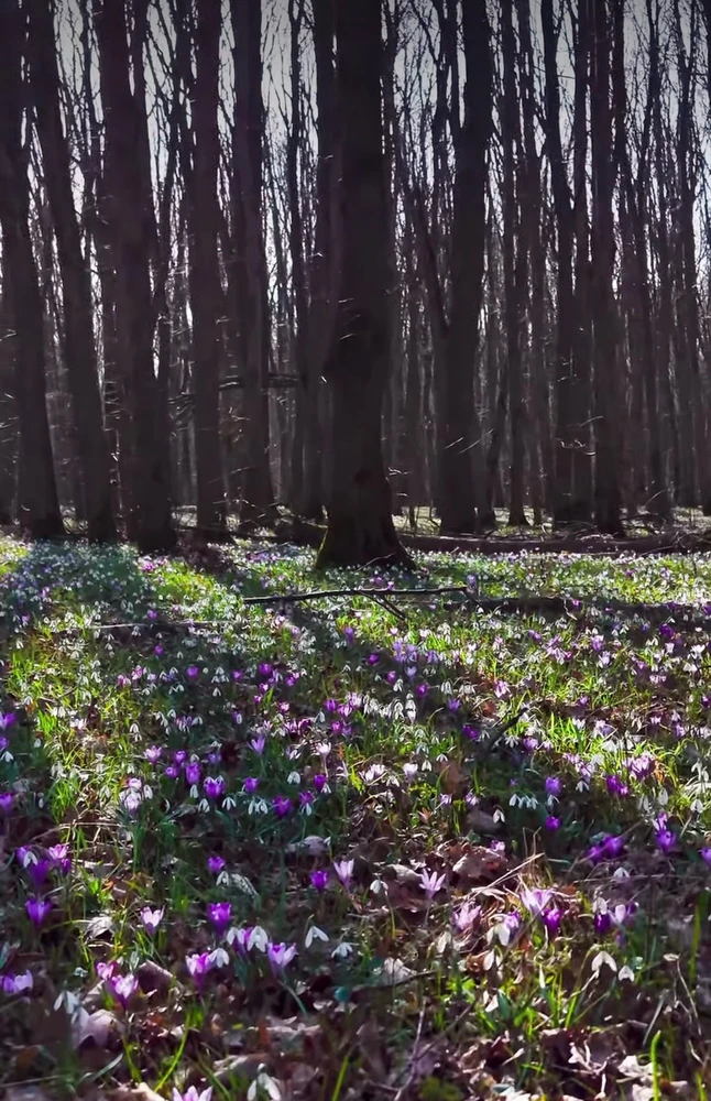 GIF încărcat de Cătălin