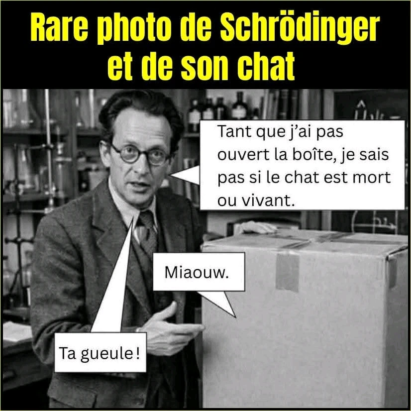 GIF ajouté par PJ