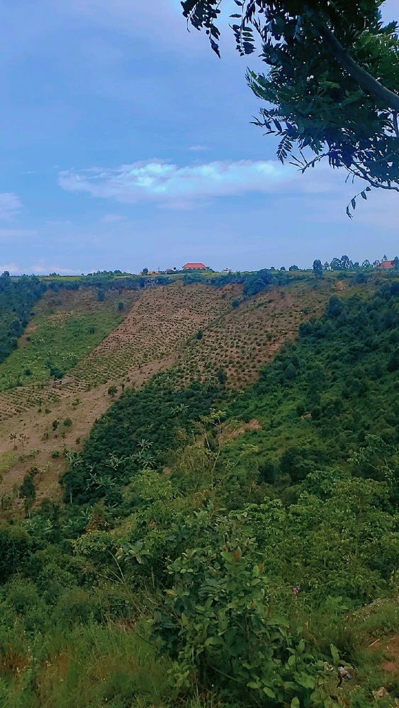 We have fertile soil and beautiful nature 