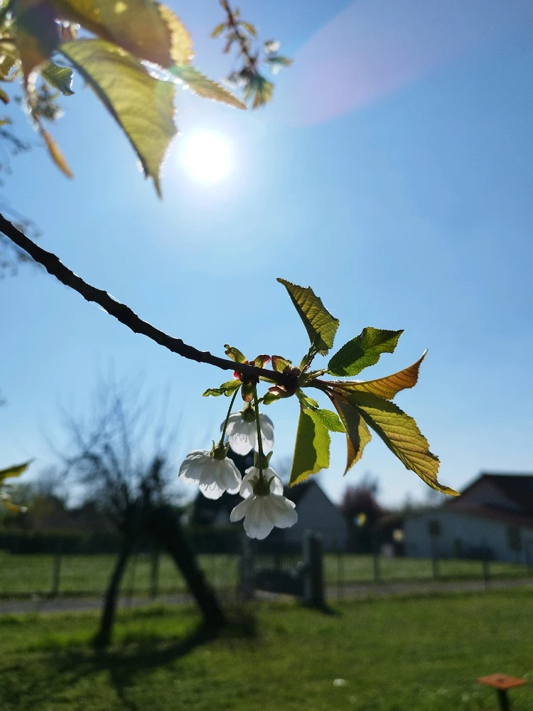 Image ajoutée par Nio