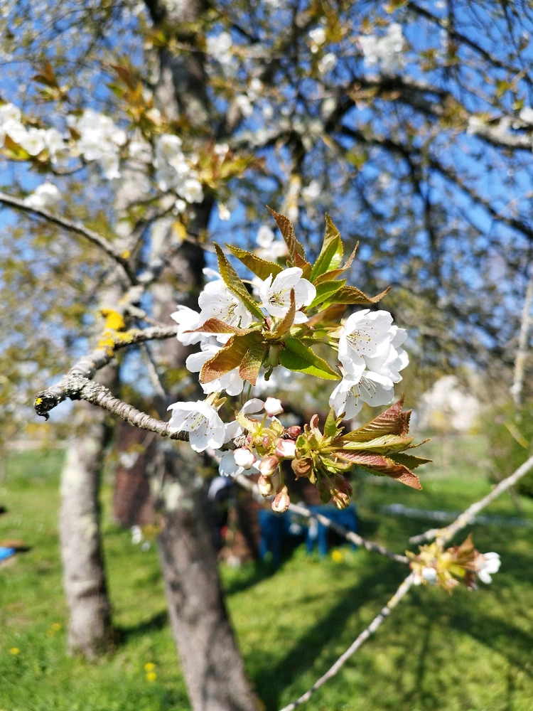 Image ajoutée par Nio
