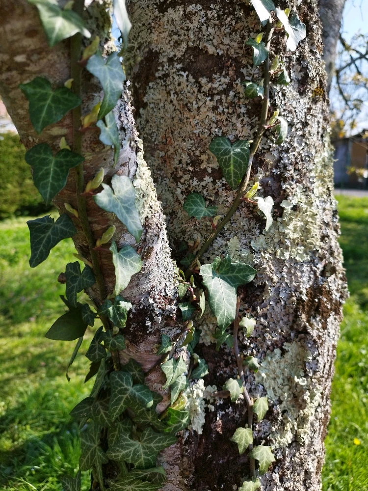 Image ajoutée par Nio