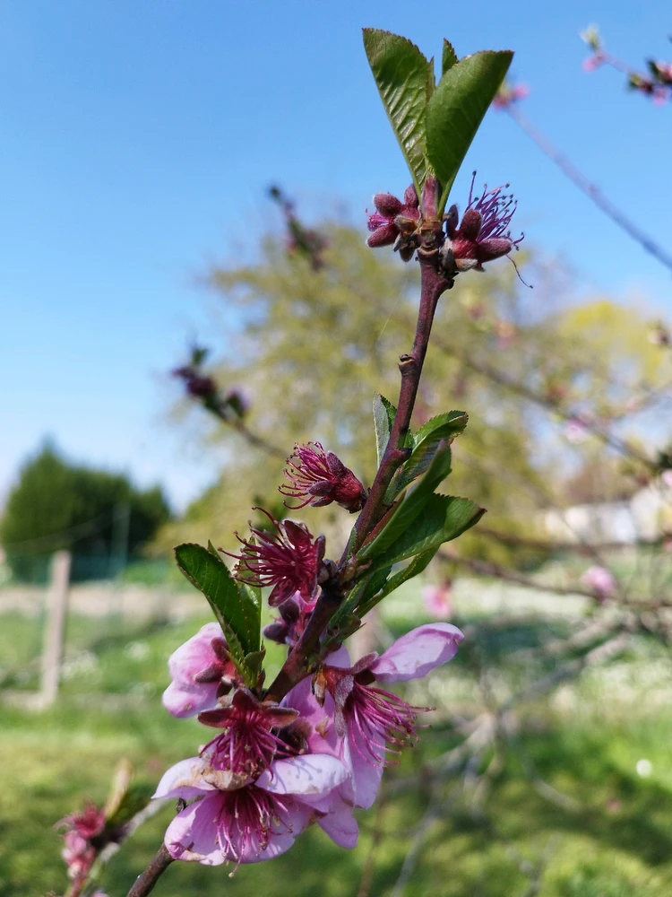 Image ajoutée par Nio