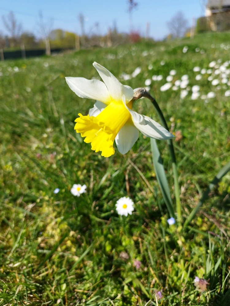 Image ajoutée par Nio