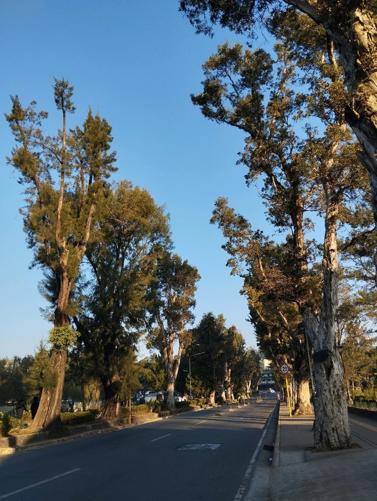 GIF uploaded by Fatima