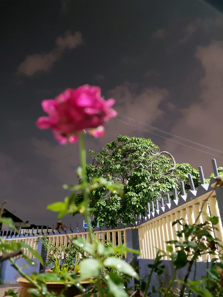 Image uploaded by Normz