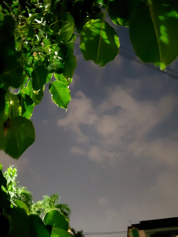 Image uploaded by Normz