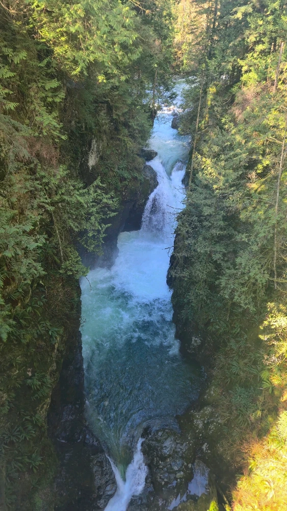 Image uploaded by Illia
