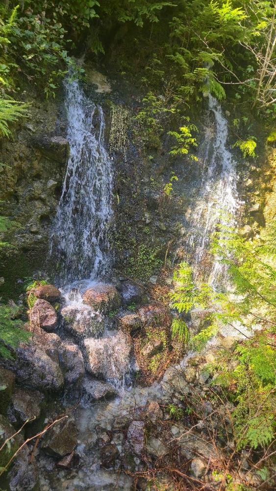 Image uploaded by Illia