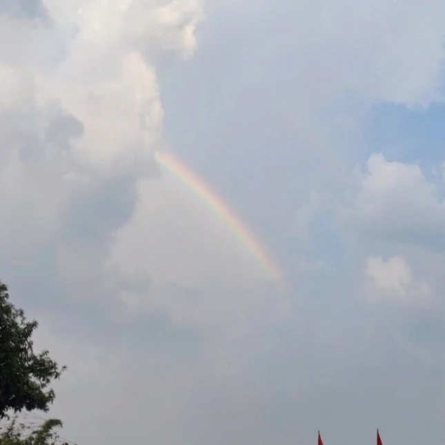 rainbow 
