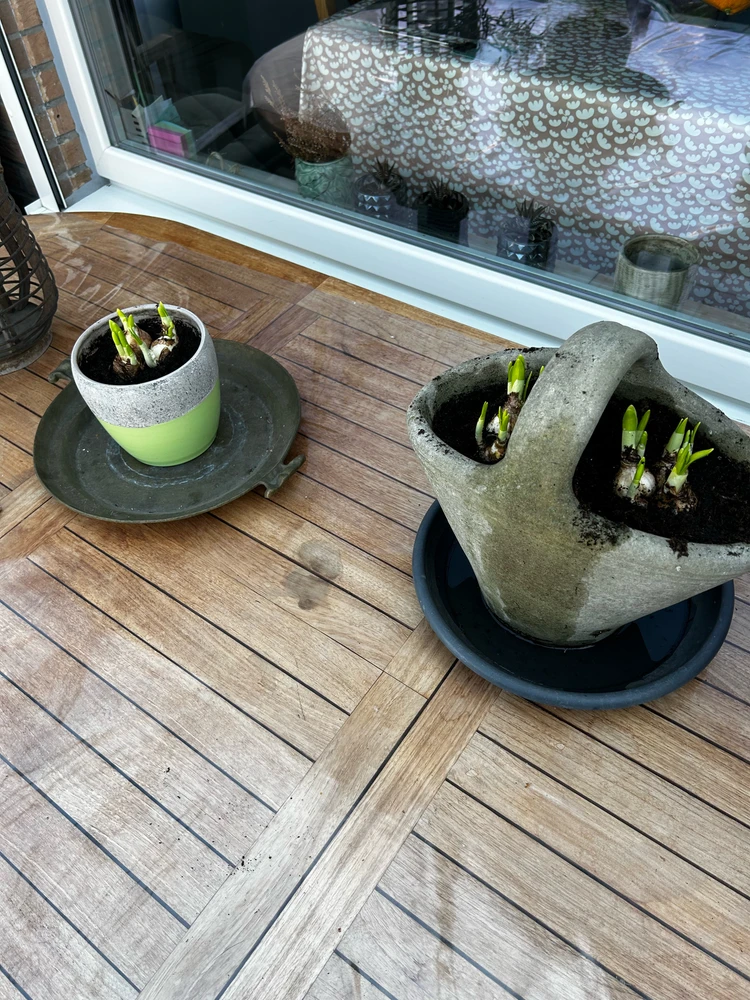 GIF geüpload door Kjell