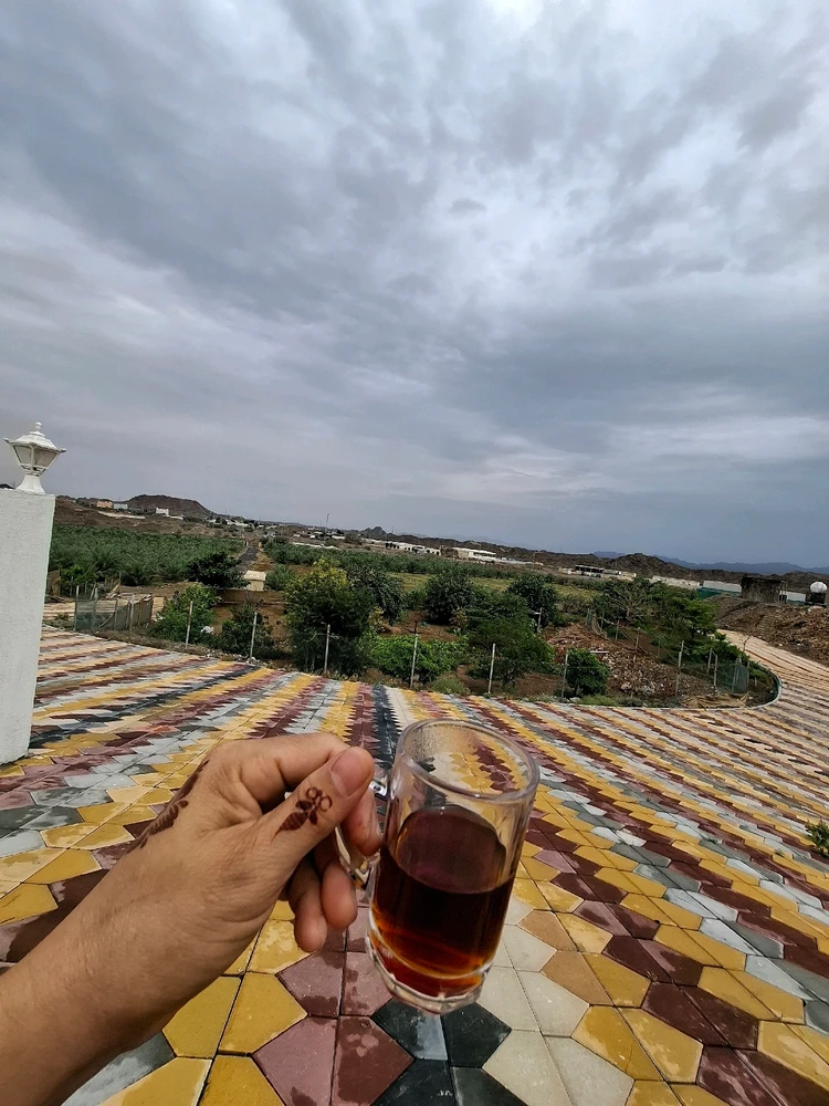 Nylej ಅಪ್‌ಲೋಡ್ ಮಾಡಿದ GIF