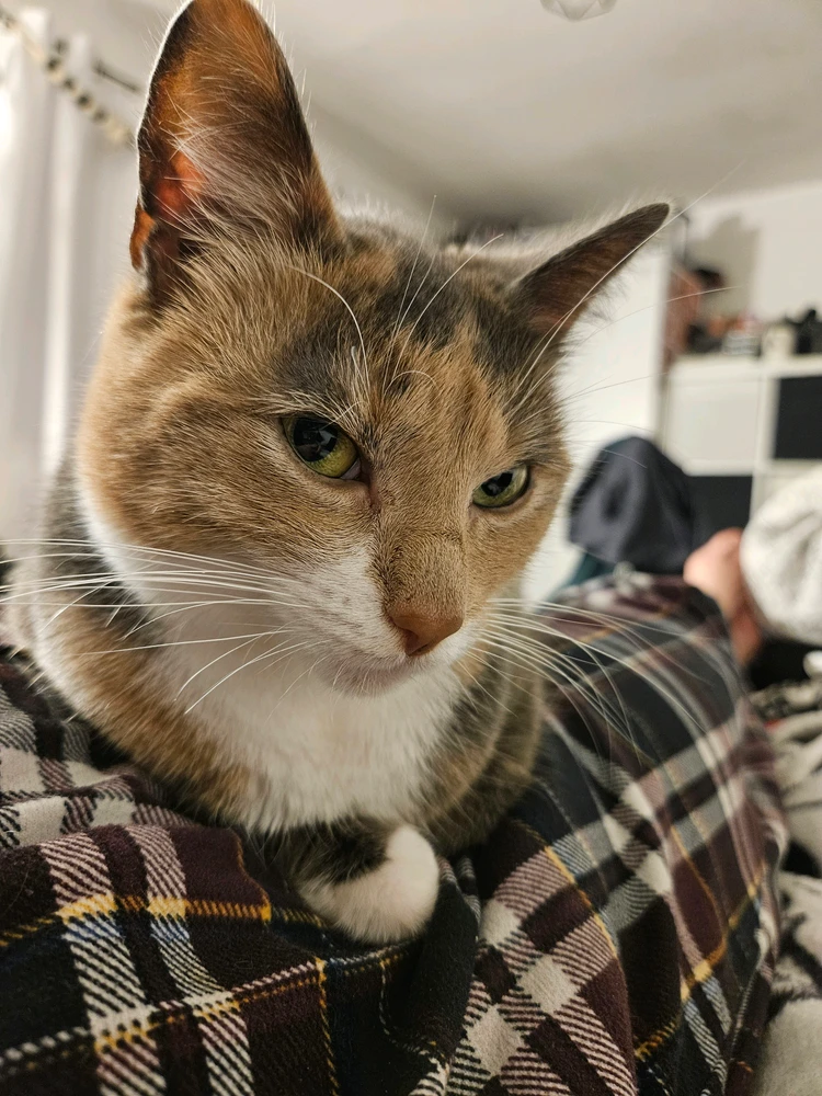 GIF uploaded by Danni