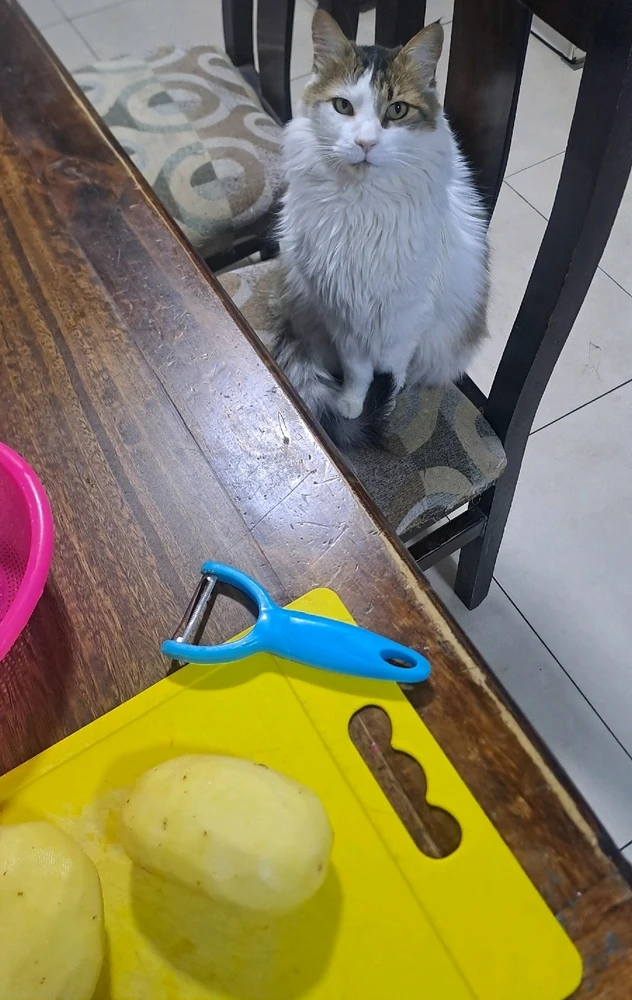 GIF subido por Lina