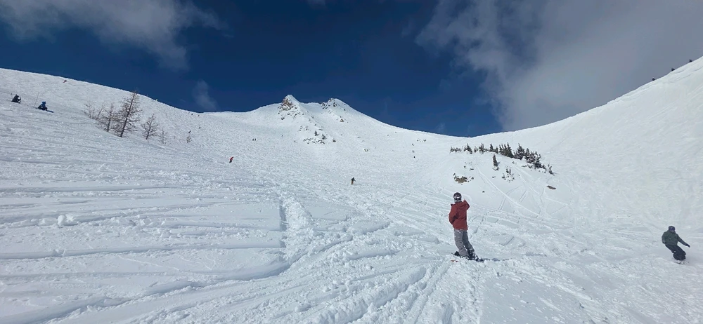 Image uploaded by Matt