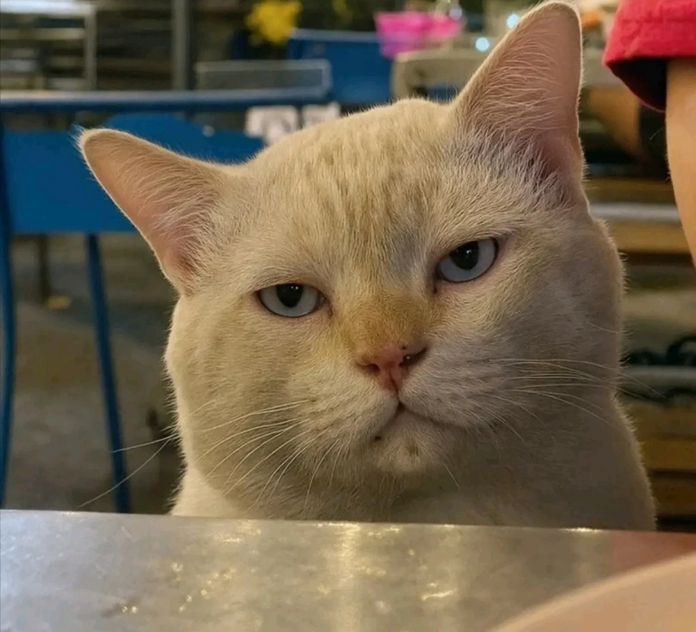 GIF diunggah ku Nita