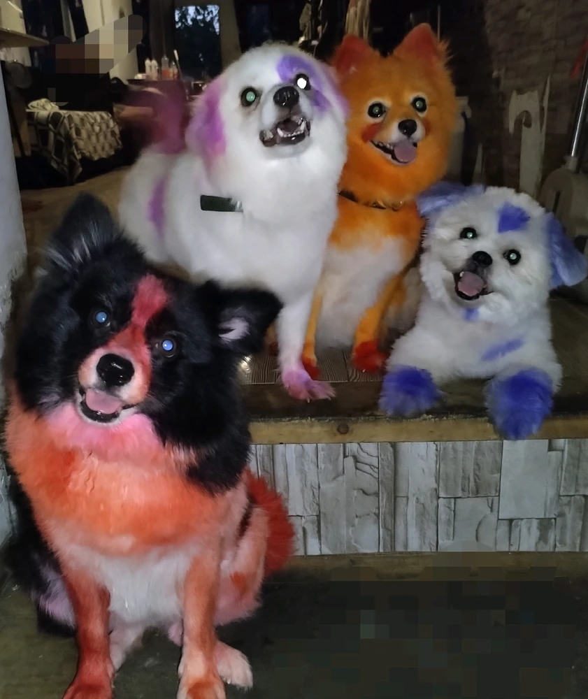 GIF uploaded by Posh