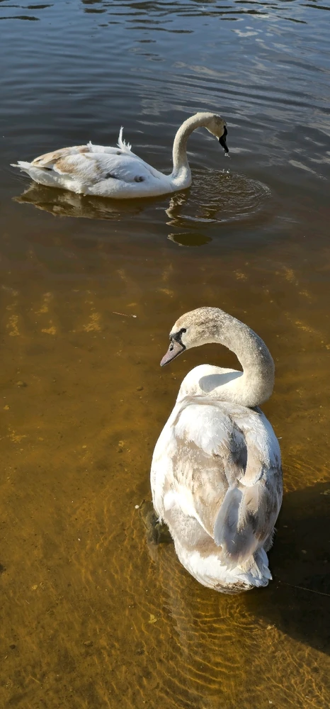 Image uploaded by Andrey