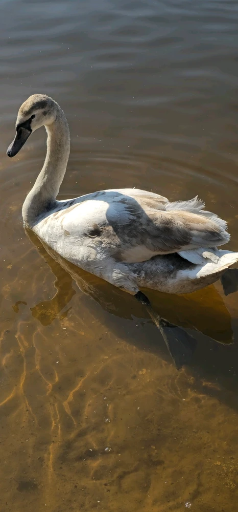 Image uploaded by Andrey