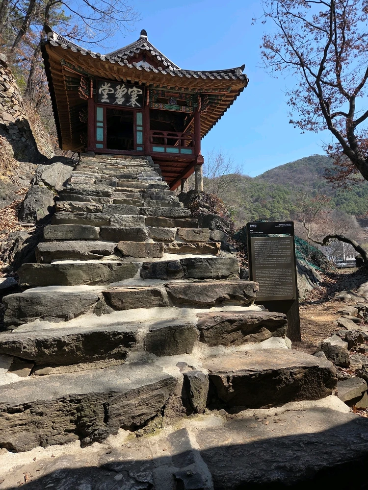 Agi님이 올린 사진