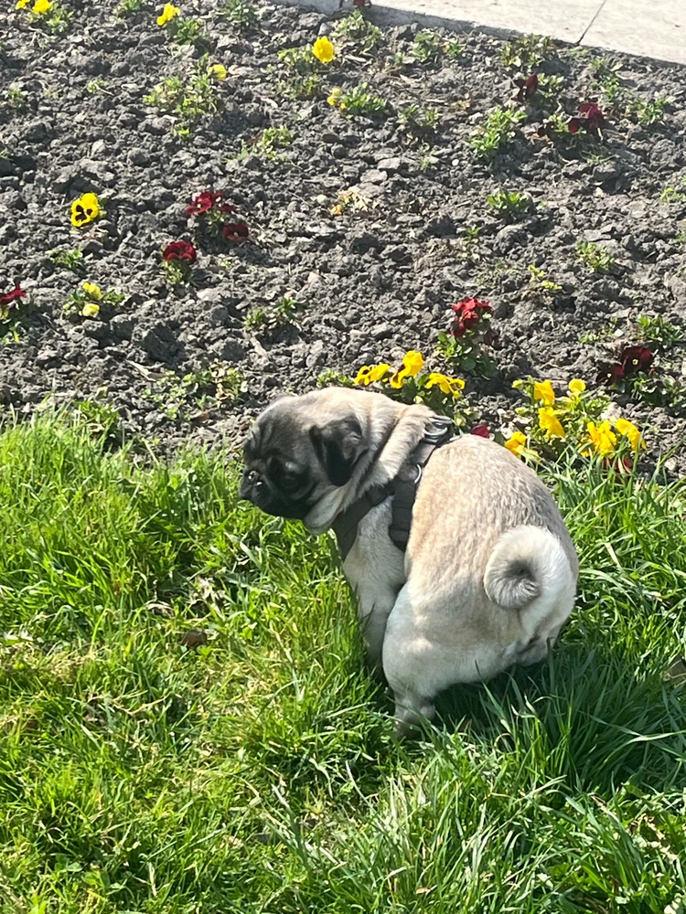 GIF uploaded by Roland