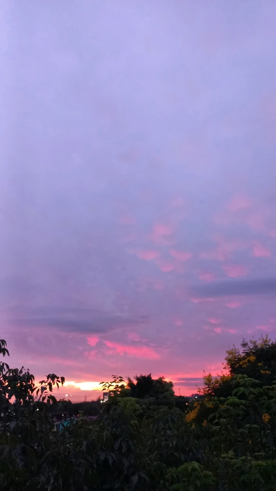 GIF enviado por Van