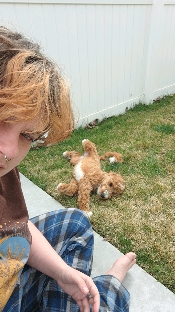 Image uploaded by Harlee