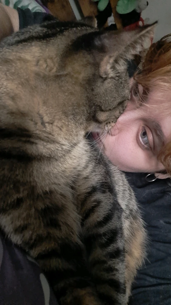 Image uploaded by Harlee