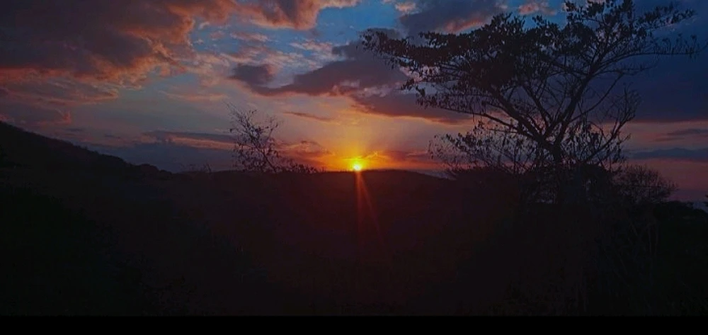 GIF subido por Jackson