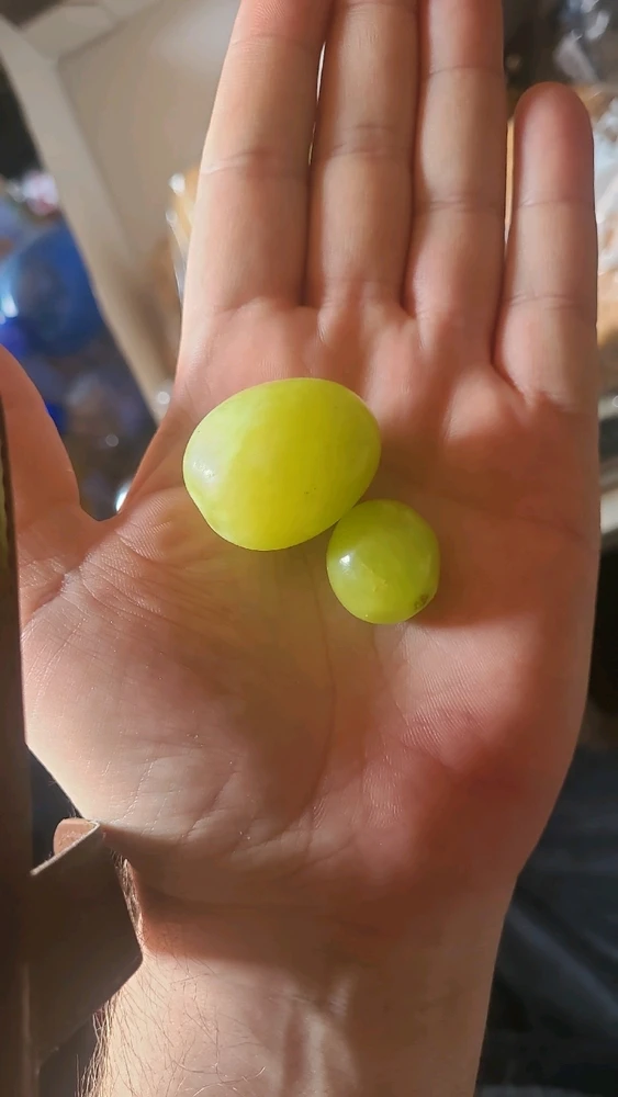 GIF uploaded by Chris