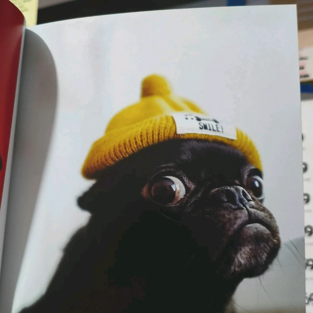 由Renée上传的图片