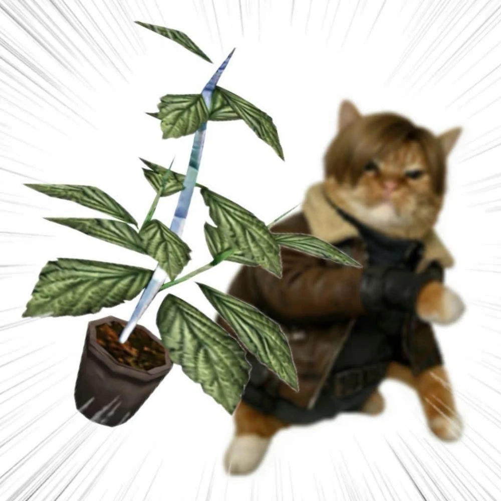 GIF uploaded by Dylan