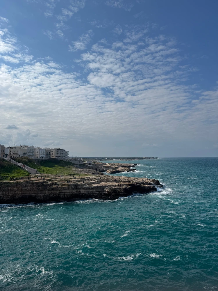 Image uploaded by Qasim