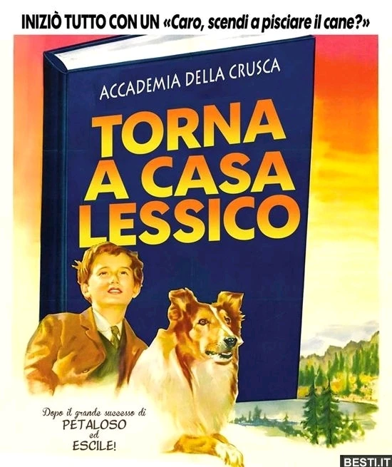 GIF caricata da Tommy