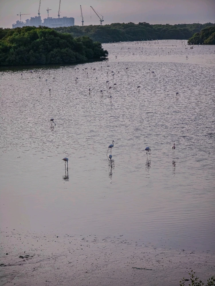 GIF uploaded by Hadi