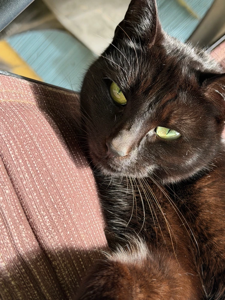 GIF uploaded by Garret