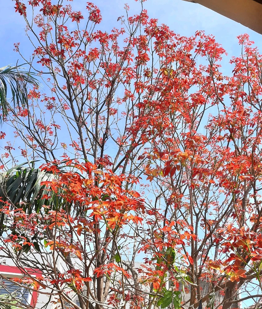 GIF uploaded by Ruchi Sehgal