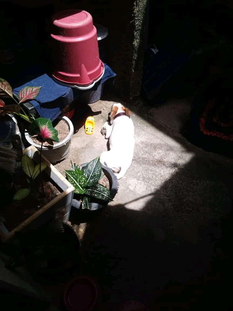 GIF enviado por Ana