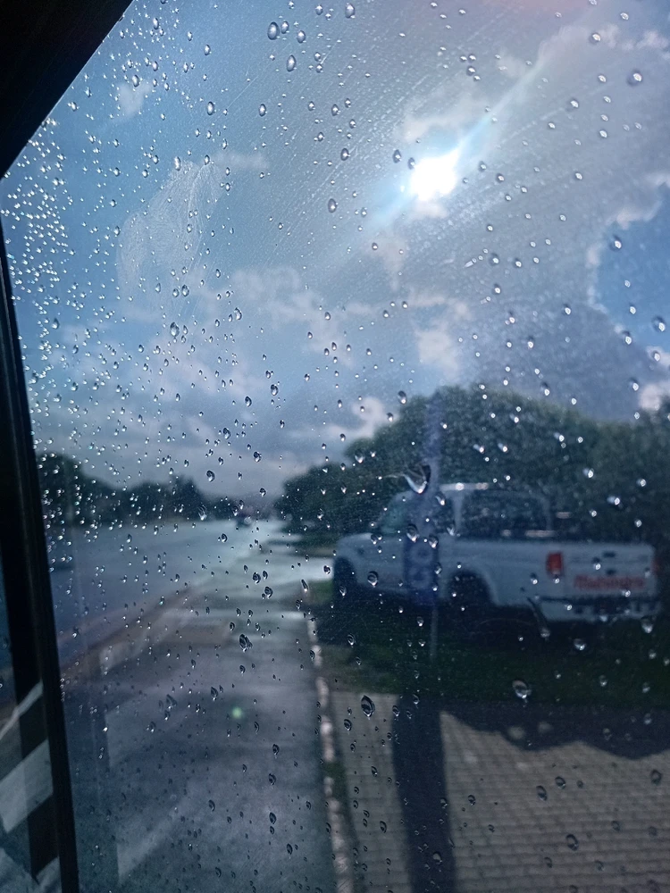 Image uploaded by Mira