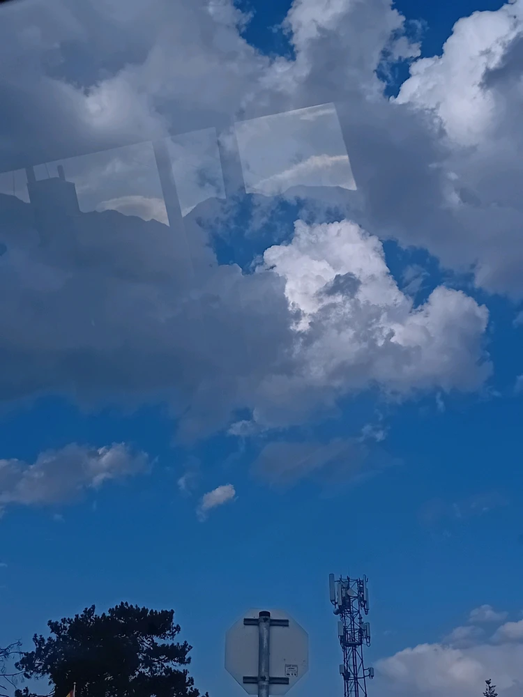 Image uploaded by Mira