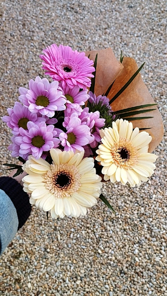 GIF ajouté par Océane 🦋